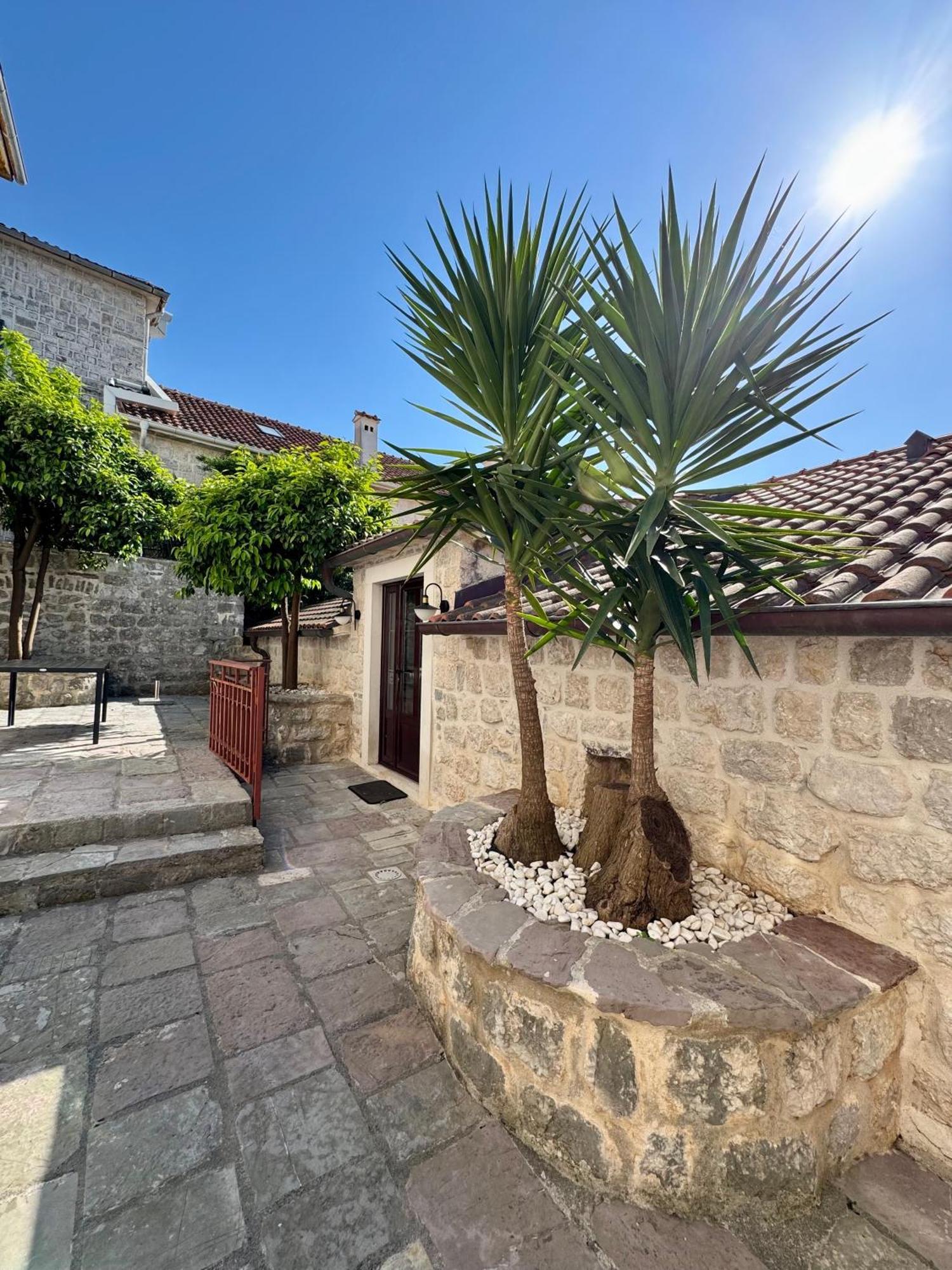 קוטור Apartments Radonicic מראה חיצוני תמונה