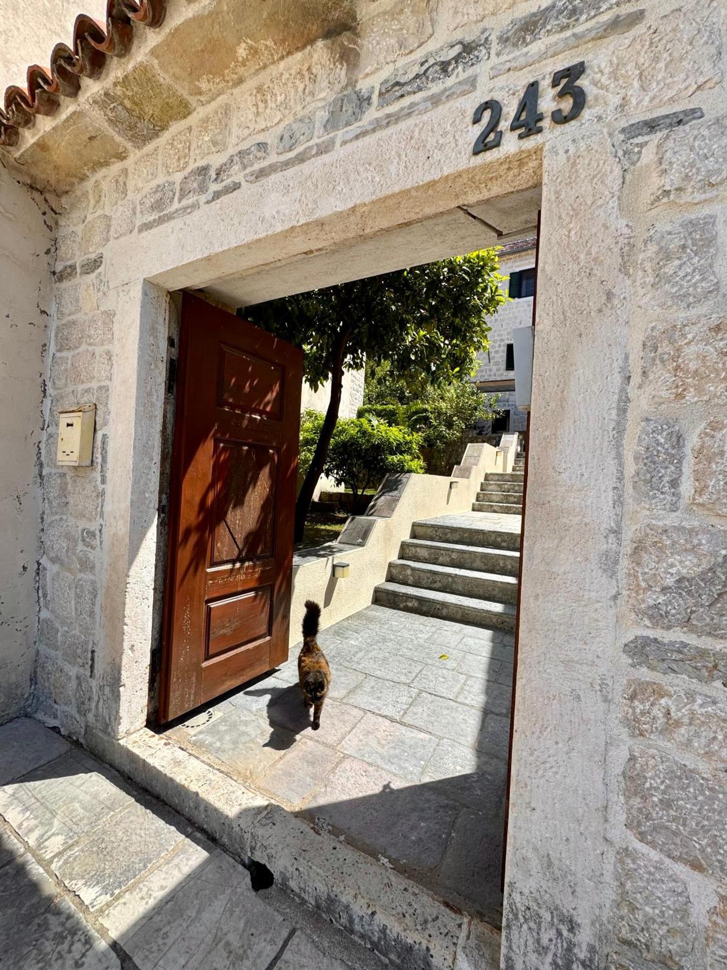קוטור Apartments Radonicic מראה חיצוני תמונה